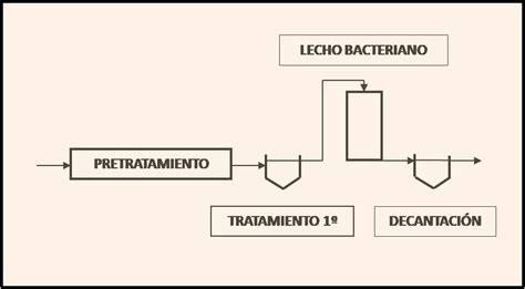 Esquema digestor decantador lecho bacteriano