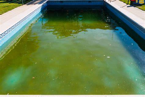 Agua verde de piscina con algas