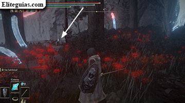 Prisión de Doliente en Shadow of the Erdtree