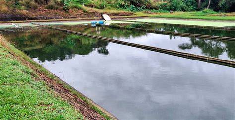 mantenimiento de lagunas termales vacías