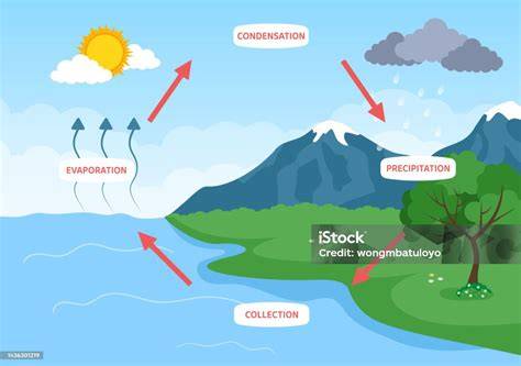 Ciclo natural de evaporación y condensación
