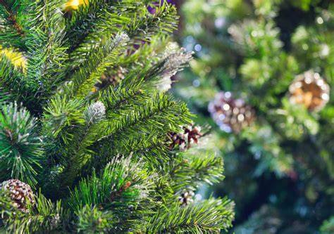 Funcionamiento de un árbol artificial purificador