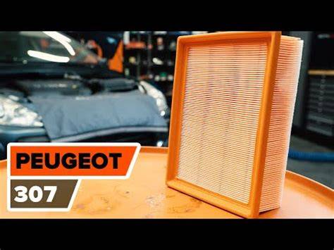 Ubicación del filtro Peugeot bajo vierteaguas