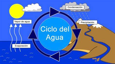 ciclo sencillo del agua residual