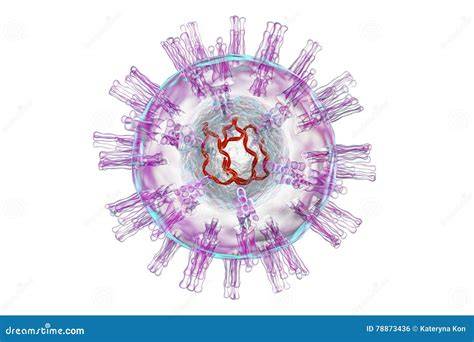 Ilustración 3D del virus herpes simple