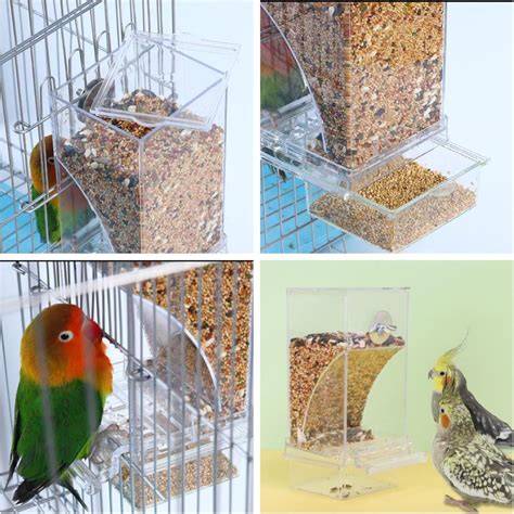 Separador de semillas y cascarilla para pájaros