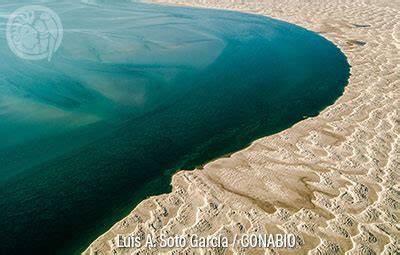 Formación natural de dunas costeras