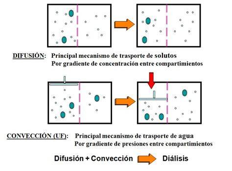 Esquema difusión y convección diálisis