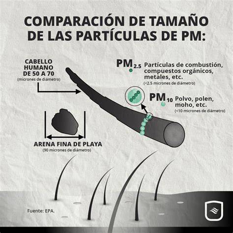 contaminación y partículas metálicas en cabello