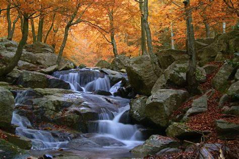 Manantial Ballanes en parque Montseny