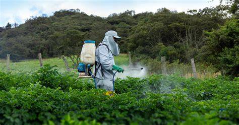 Ruta de pesticidas desde el campo hasta acuíferos