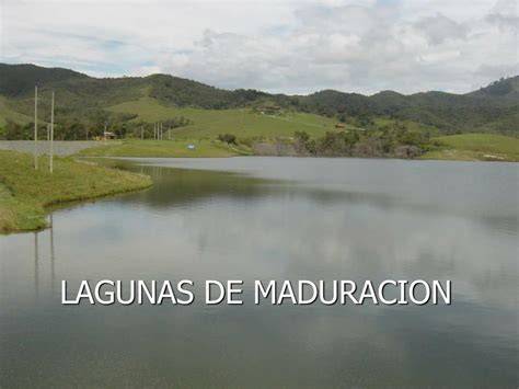 Laguna de maduración para aguas residuales