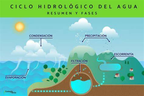 Dibujo infantil del ciclo hidrológico