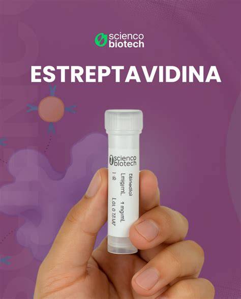 Perlas de estreptavidina para proteínas biotiniladas