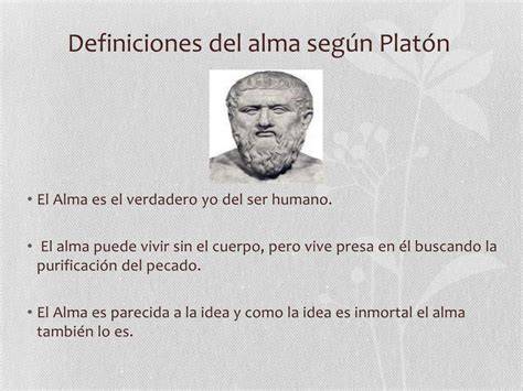 Platón y la purificación del alma