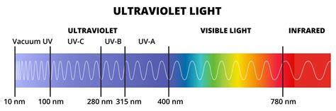 Espectro UVA UVB UVC y longitudes onda