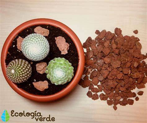 Sustrato mineral para plantas suculentas