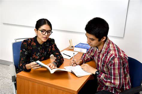 tutoría universitaria profesor estudiante