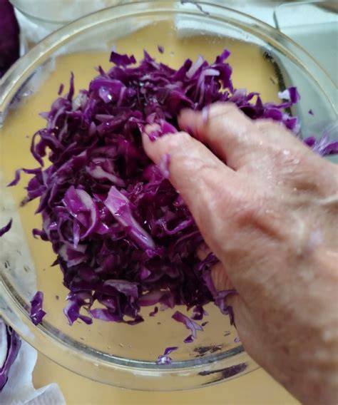 Repollo morado y agua destilada para colorante