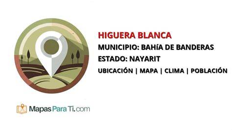 Ubicación de Purificación Higuera Luján en València