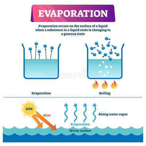 Esquema de evaporación sónica del agua