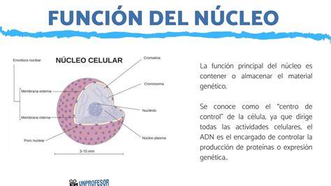núcleo de convolución sobre imagen