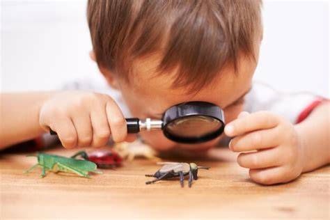 Niños observando insectos con lupas