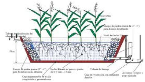 Esquema de humedal artificial con plantas