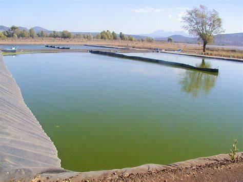 Planta de lagunaje con lagunas anaerobias