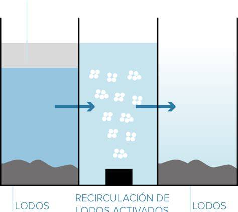 Esquema de EDAR con aireación prolongada