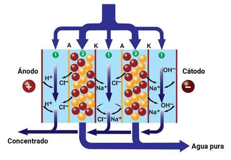 Esquema de módulo EDI con membranas y electrodos