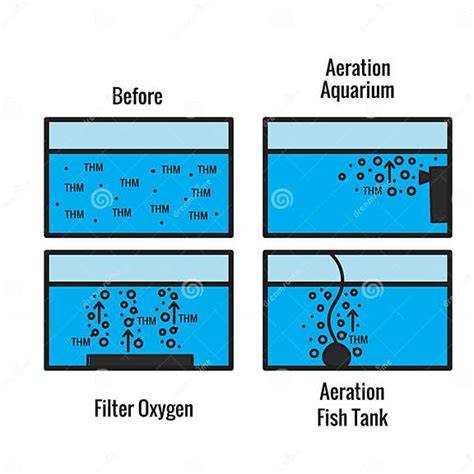 Esquema de aireación de acuario