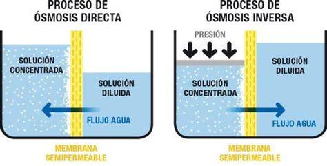 Esquema de ósmosis directa e inversa