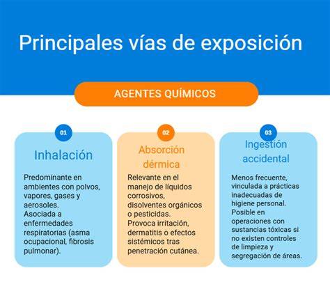 Vías de exposición al hipoclorito