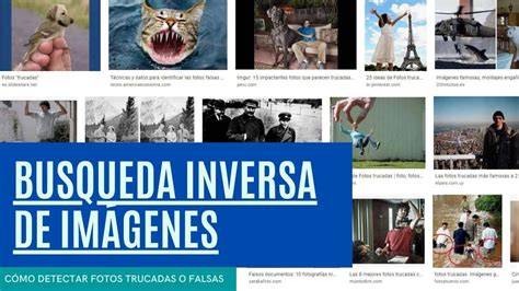 Búsqueda inversa de imágenes para detectar copias