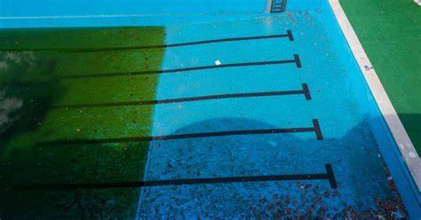 Tipos de algas en piscina