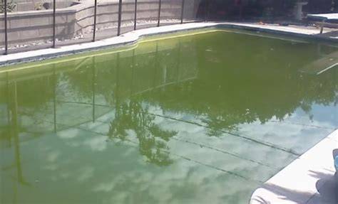 piscina de lona con agua turbia