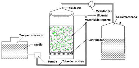 esquema reactor lecho fluidizado regenerador