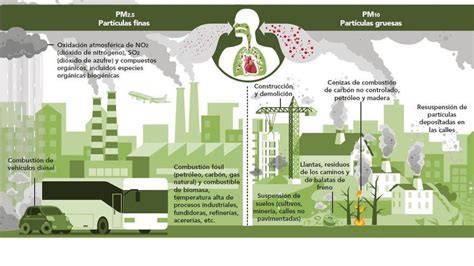 partículas PM10 y PM2,5 en pulmones
