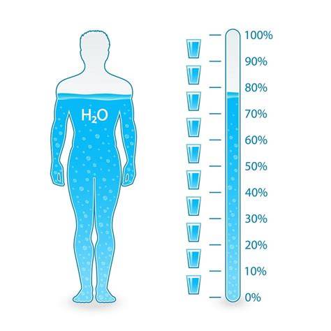 Distribución del agua en compartimientos corporales