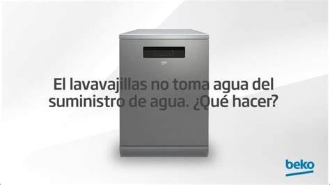 Filtro de toma de agua lavavajillas