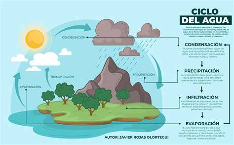 ciclo del agua depurada y regenerada