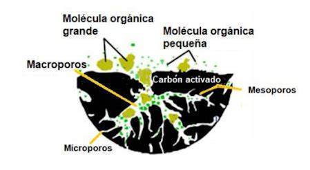 Partícula de carbón activado y porosidad microscópica