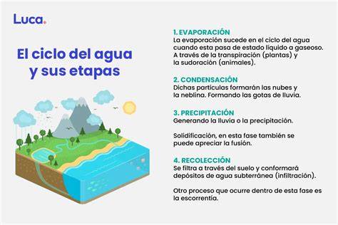 ciclo natural del agua y destilación