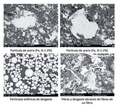 microfotografía de partículas de Praziquantel