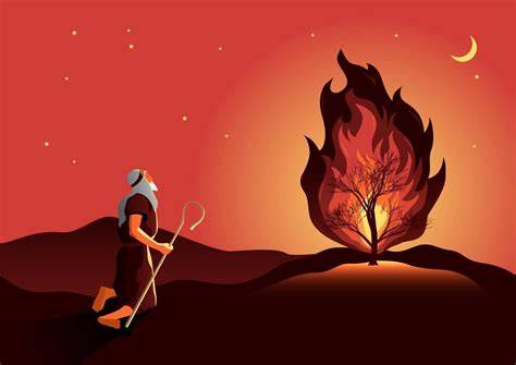 zarza ardiente fuego purificador Biblia