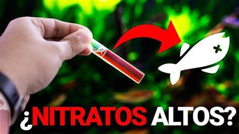 medición de nitratos en acuario