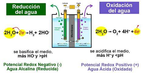 Electrólisis del agua ionizada alcalina