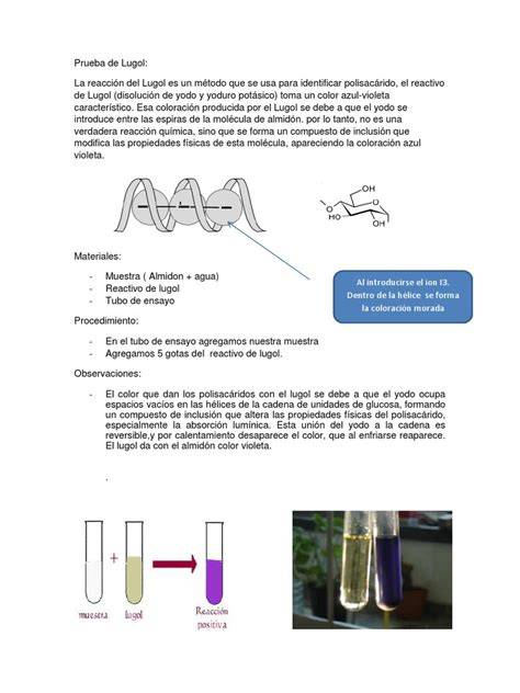Prueba de Lugol con almidón color azul