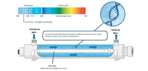 Esquema de reactor de desinfección UV